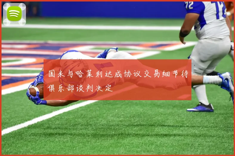 国米与哈莱利达成协议交易细节待俱乐部谈判决定