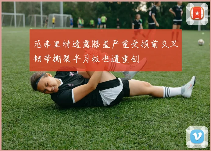 范弗里特透露膝盖严重受损前交叉韧带撕裂半月板也遭重创